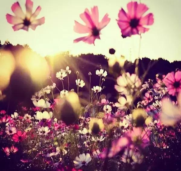 我允许任何事情的发生