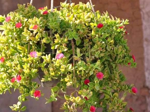 qq空间感悟人生的图片说说短语 qq空间感悟人生的图片说说短语