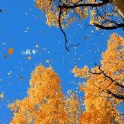 每个人的人生都不同，一辈子要懂的还很多