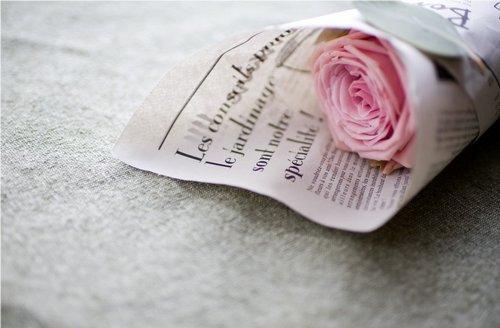 治愈人心的心灵鸡汤语录