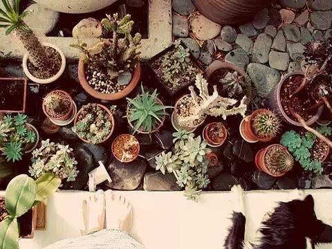 生活，慢慢品才有滋味