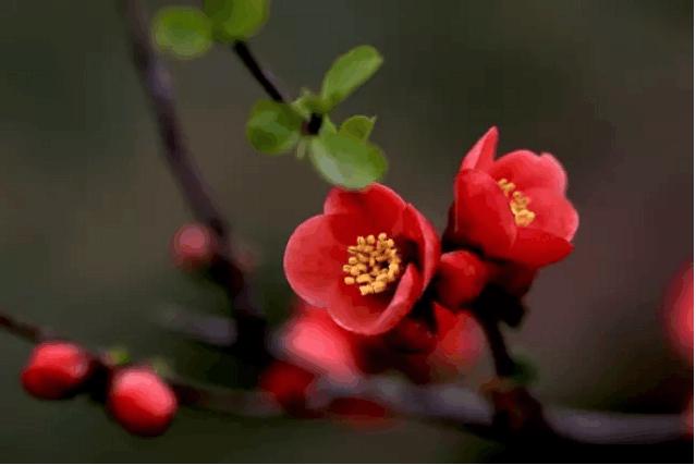 14句话，很深刻，句句是人生