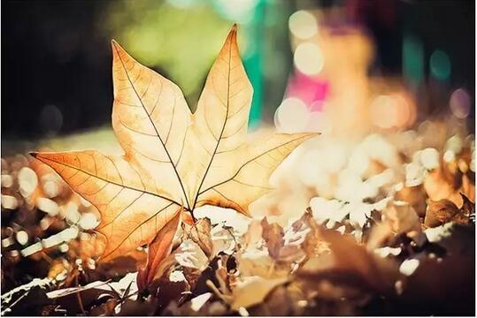 风一程，雨一程，人生一程又一程