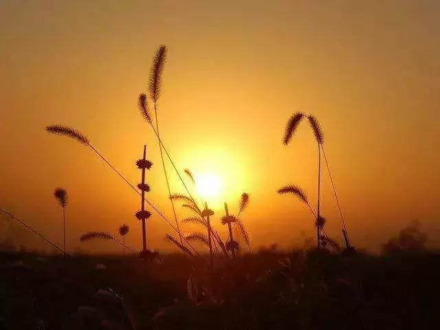 静，是心灵最美的陪伴