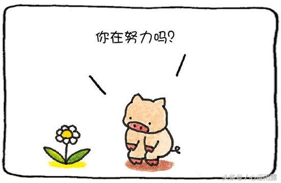你不努力，谁也给不了你想要的生活