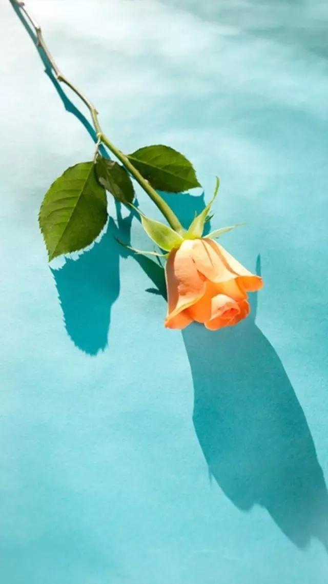 气质优雅的非主流经典语录