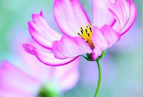 16句感悟人生的哲理语录，句句大实话