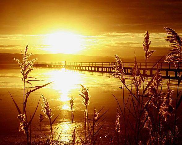 适合发说说的经典治愈系语录