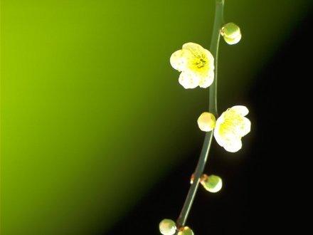 张牙舞爪的人，往往是脆弱的