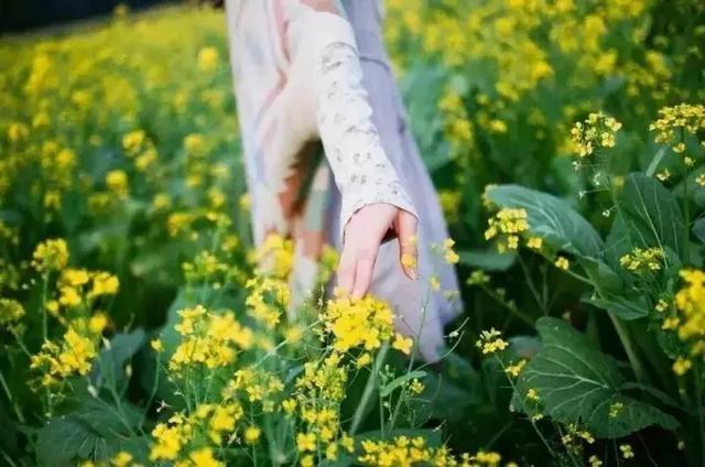 在心里种花，人生才不会荒芜