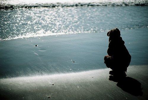 心存希望，幸福就会降临你；心存梦想，机遇就会笼罩你