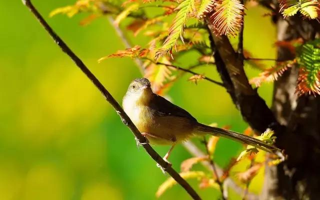 生命，只有这一次（经典）