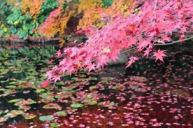 心态好，一切都好，这就是人生