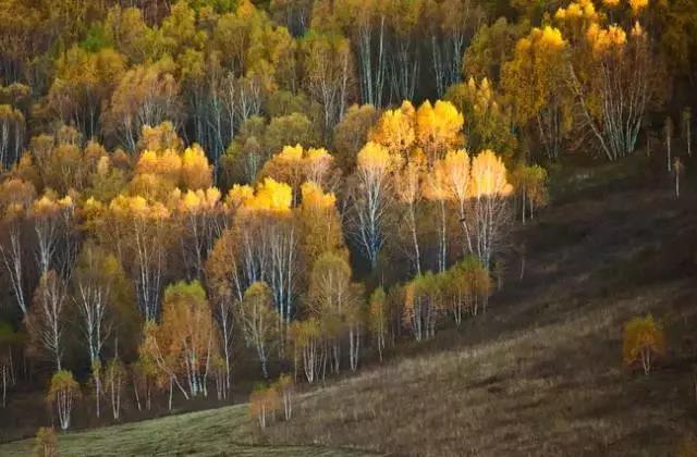 静守尘念,从容而安 静守尘念,从容而安