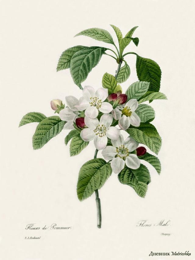 精辟到噎死人的经典语录,透彻至极 精辟到噎死人的经典语录,透彻至极