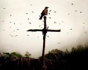 父母在,此生尚有来路;双亲故,余生只剩归途 父母在,此生尚有来路;双亲故,余生只剩归途