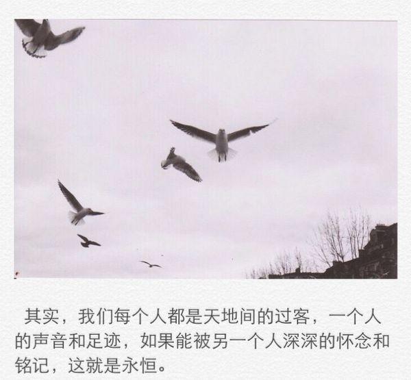 《十八岁的天空》经典语录