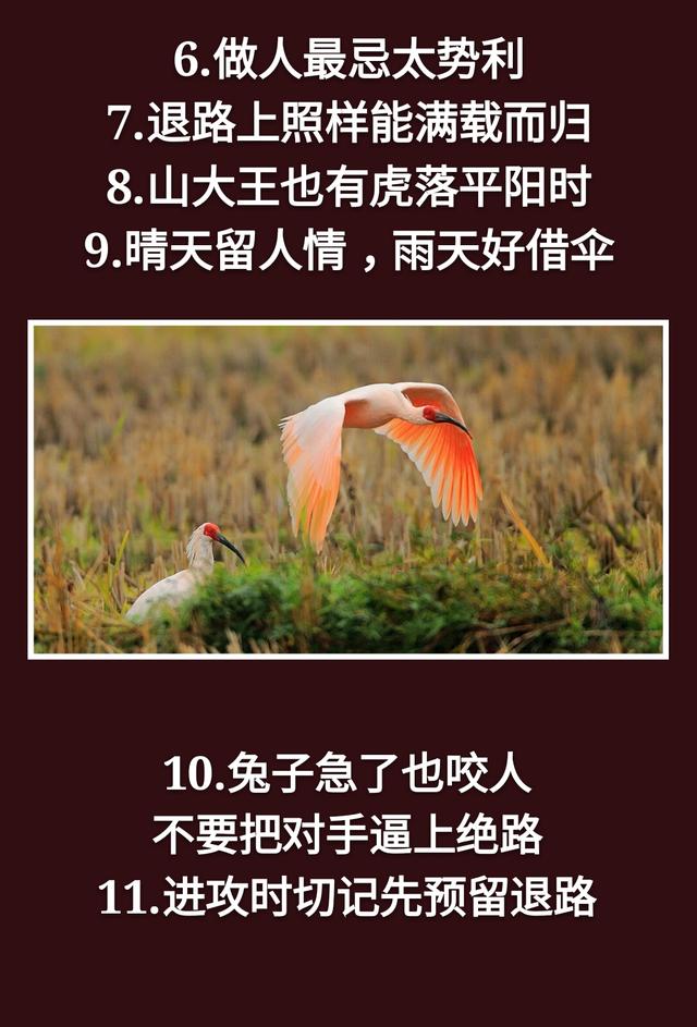 为人处事：一孝，二忍，三稳，四藏，五变，六防，七退