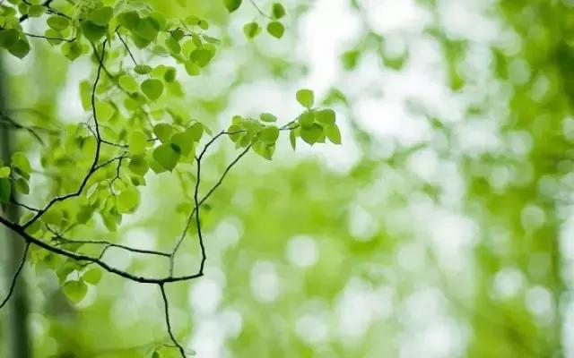 人生路上五句话 人生路上五句话