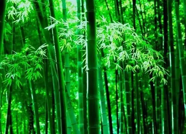 人，活的是一种尊严