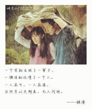 向来缘浅，奈何情深