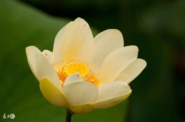 穷，不能欠人钱不还；难，不要说话不算数（句句真理）