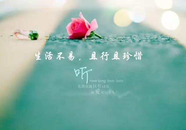 致，我们的后半生