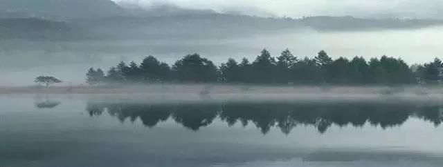 淡而不厌，真美