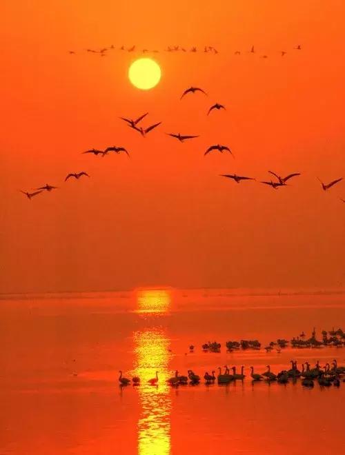 物以类聚，人以群分(写的真好)