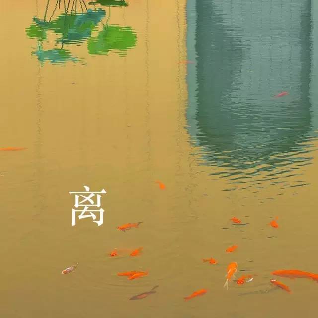 断舍离