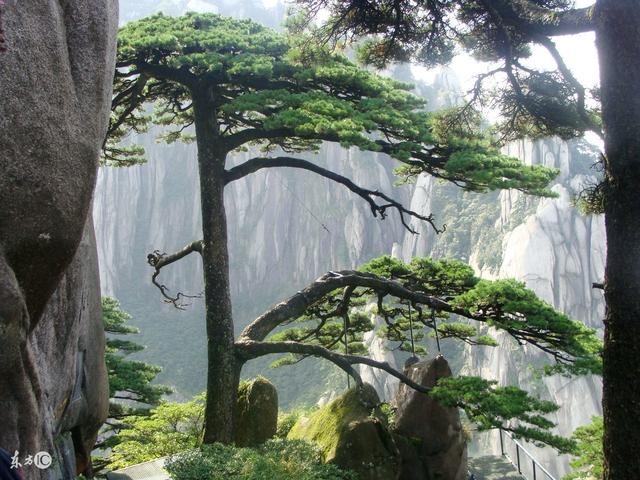 不品人间酒，谁知其中醉；不陷世间情，谁知其中累