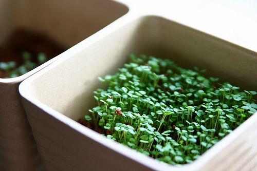 治愈自己心情的精美语录