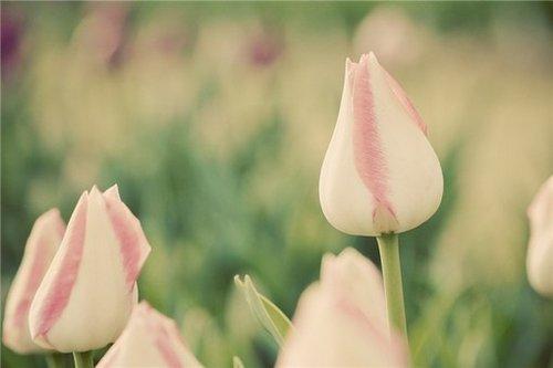 朋友圈充满正能量的情感语录