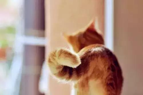 这露骨现实的人生感悟，戳中你了吗？