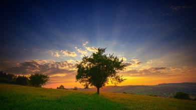 9句真正限制我们的,一直以来都是自己 9句真正限制我们的,一直以来都是自己