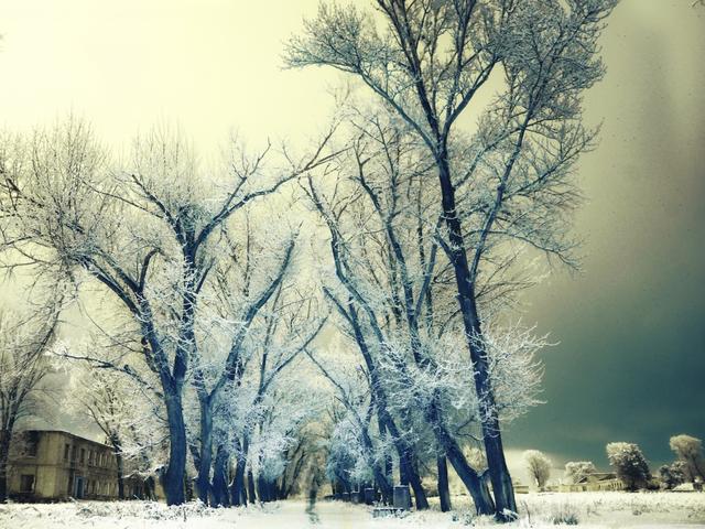 感动人心的10句唯美语录