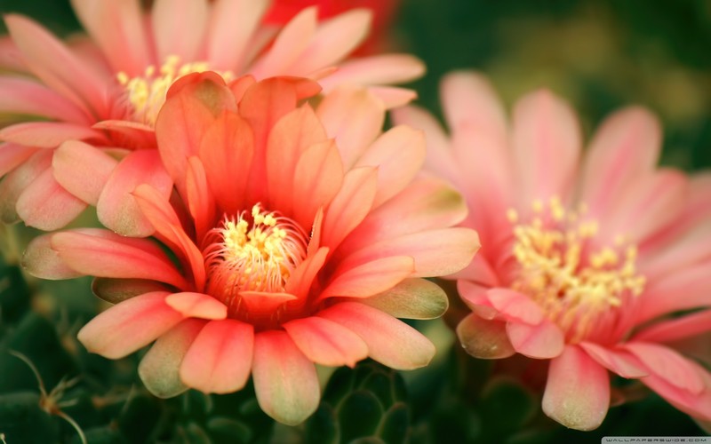 回眸时，最怕人擦肩；寻觅里，最恨情无踪