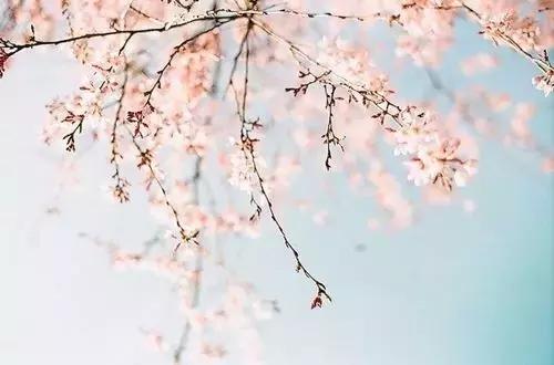 做一个平常老百姓，挺好