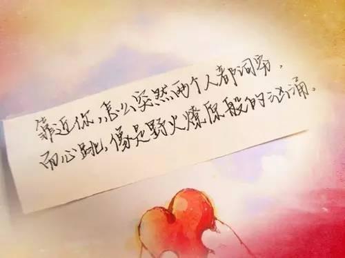 没有受过伤的人，才会讥笑别人身上的伤痕