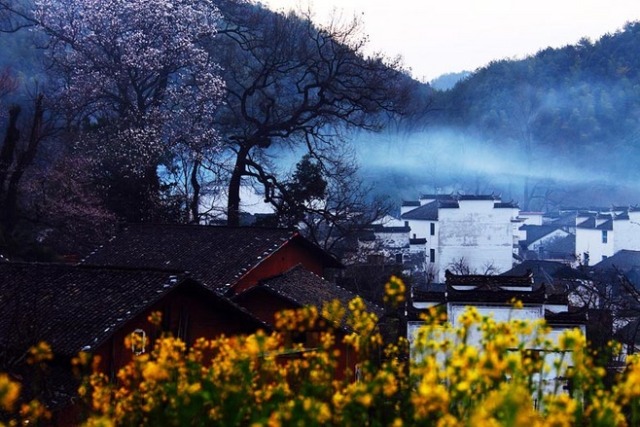 不贪,不执,不怨,慈悲从容 不贪,不执,不怨,慈悲从容