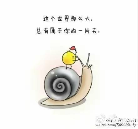 执一盏清茗，品半世沧桑