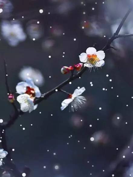 人生的幸福：一半争，一半随
