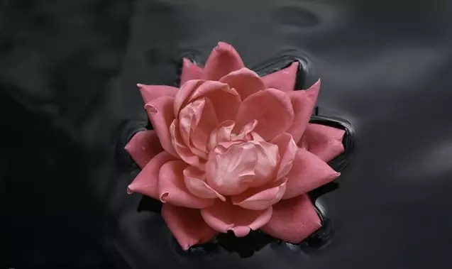 仓央嘉措：如果爱是一场修行