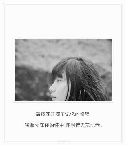 是谁在用你的名字写诗（太美好）