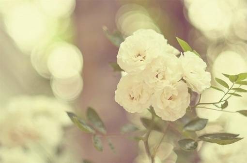 我是前世遗落在江南的雨