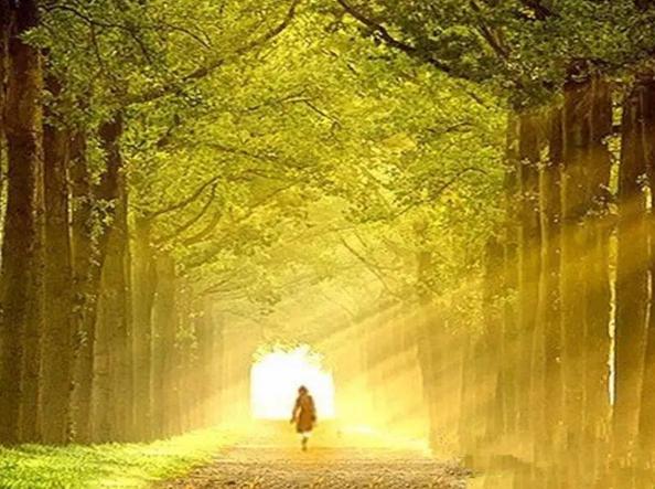 人生，有两条路要走