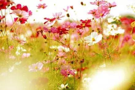 距离只是一个用来验证爱能走多远的测试