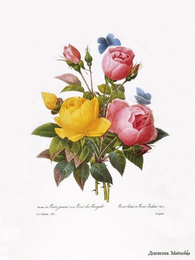 20条非常精辟的一句话经典语录,句句大实话 20条非常精辟的一句话经典语录,句句大实话