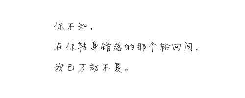 那些让人动容的网络经典语录
