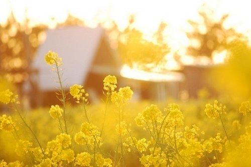 人生感悟:因为无能为力,所以顺其自然 人生感悟:因为无能为力,所以顺其自然